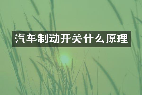 汽车制动开关什么原理