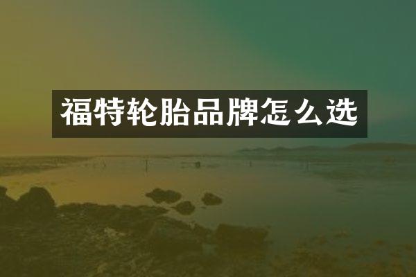 福特轮胎品牌怎么选