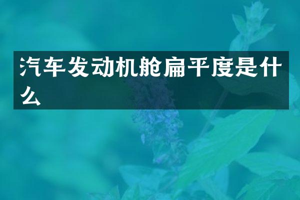 汽车发动机舱扁平度是什么