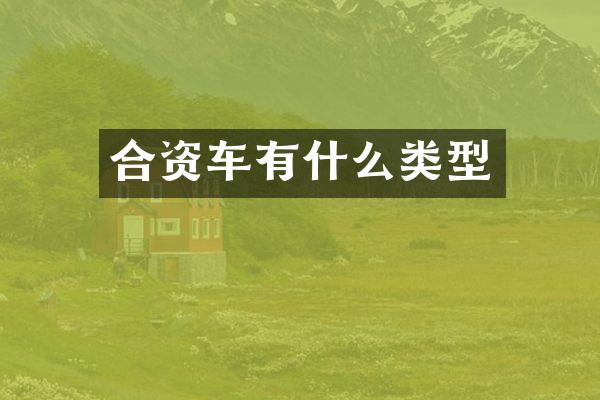 合资车有什么类型