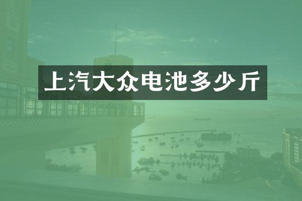 上汽大众电池多少斤