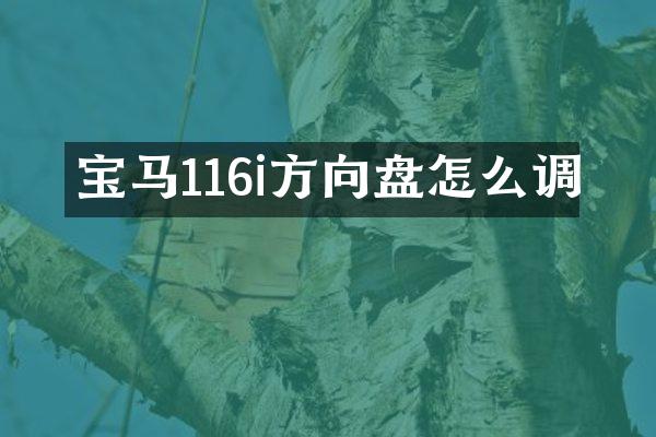 宝马116i方向盘怎么调