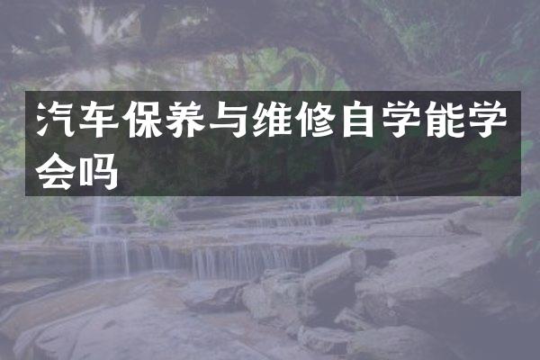 汽车保养与维修自学能学会吗