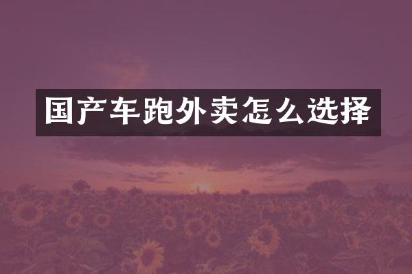 国产车跑外卖怎么选择
