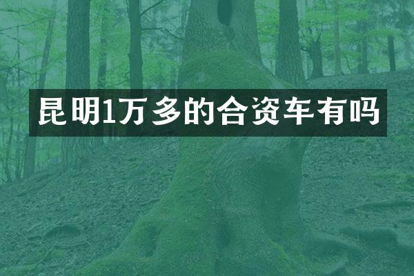 昆明1万多的合资车有吗