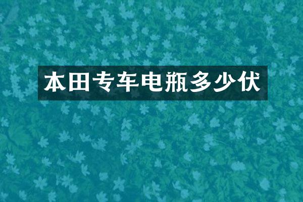 本田专车电瓶多少伏