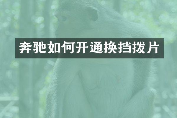 奔驰如何开通换挡拨片