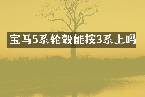 宝马5系轮毂能按3系上吗