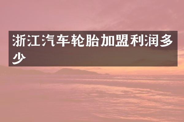 浙江汽车轮胎加盟利润多少