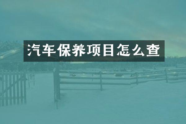 汽车保养项目怎么查