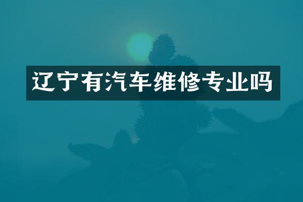 辽宁有汽车维修专业吗