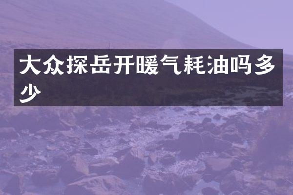 大众探岳开暖气耗油吗多少