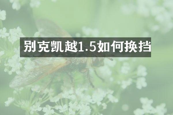 别克凯越1.5如何换挡