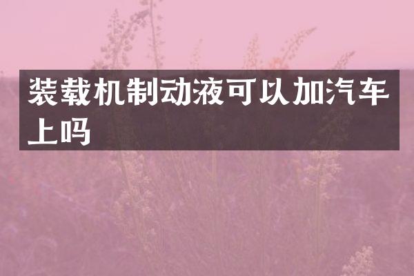 装载机制动液可以加汽车上吗
