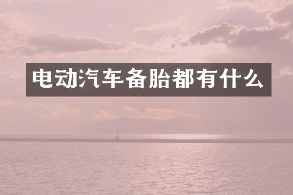 电动汽车备胎都有什么