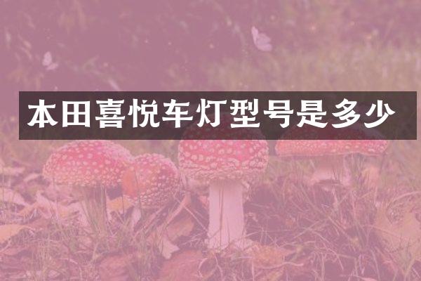 本田喜悦车灯型号是多少