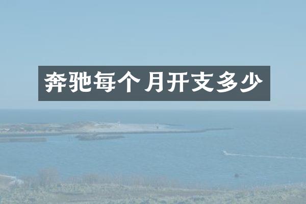 奔驰每个月开支多少