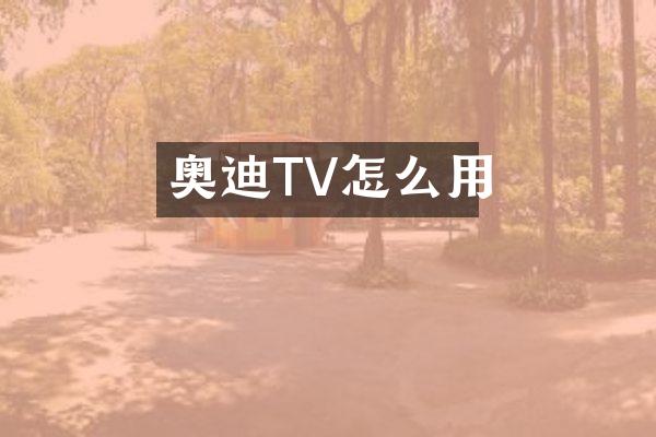 奥迪TV怎么用