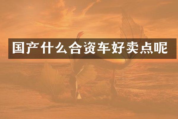 国产什么合资车好卖点呢