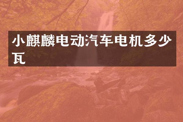 小麒麟电动汽车电机多少瓦