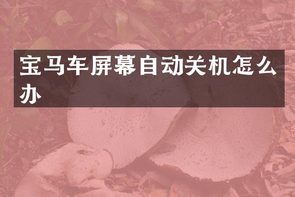 宝马车屏幕自动关机怎么办