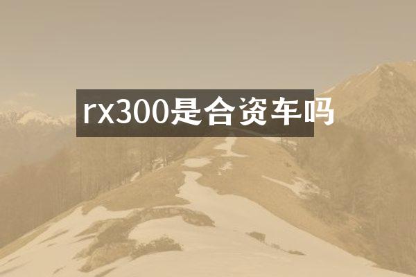 rx300是合资车吗