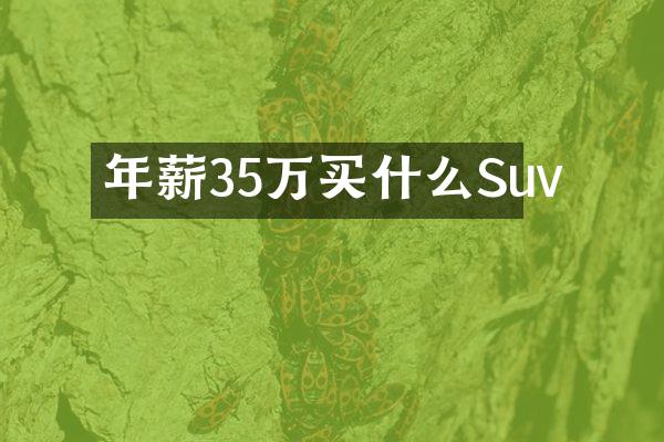 年薪35万买什么Suv