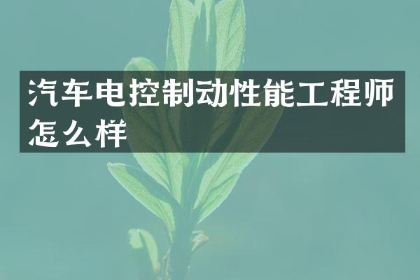 汽车电控制动性能工程师怎么样