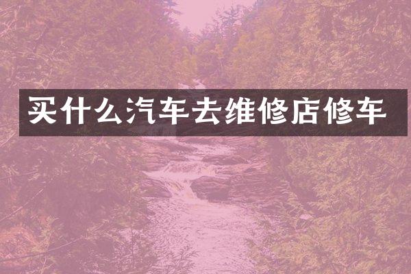 买什么汽车去维修店修车