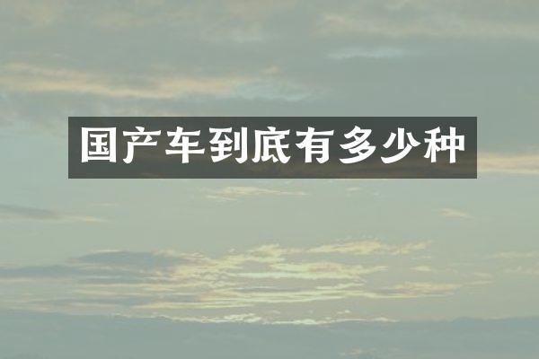 国产车到底有多少种
