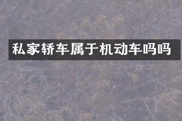 私家轿车属于机动车吗吗