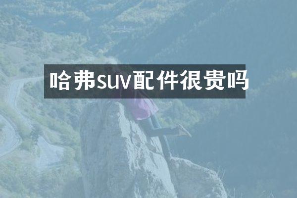 哈弗suv配件很贵吗