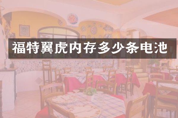福特翼虎内存多少条电池