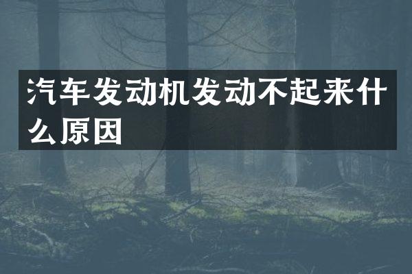 汽车发动机发动不起来什么原因
