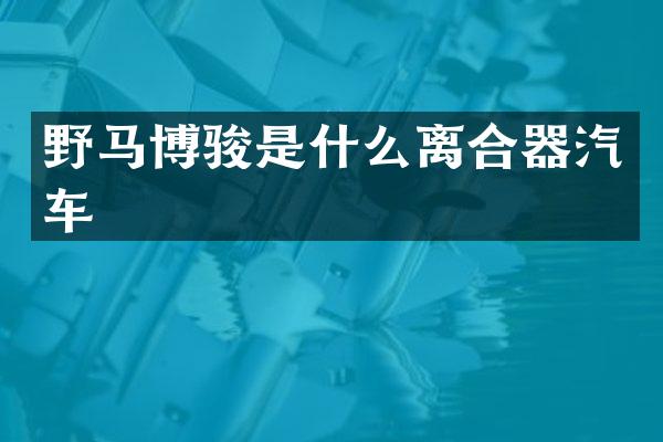 野马博骏是什么离合器汽车