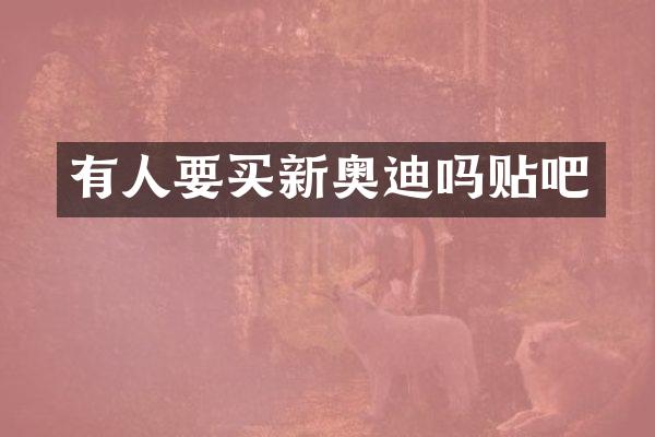 有人要买新奥迪吗贴吧