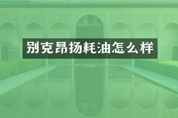 别克昂扬耗油怎么样