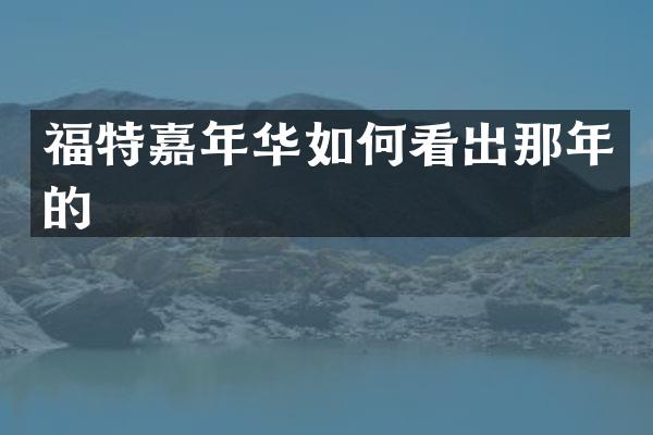 福特嘉年华如何看出那年的