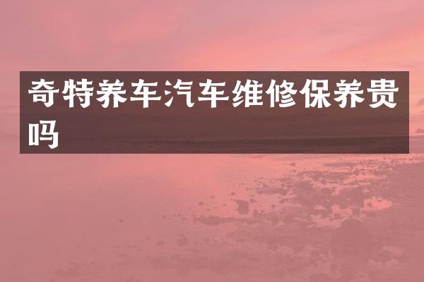 奇特养车汽车维修保养贵吗