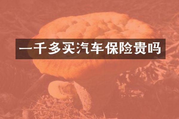 一千多买汽车保险贵吗