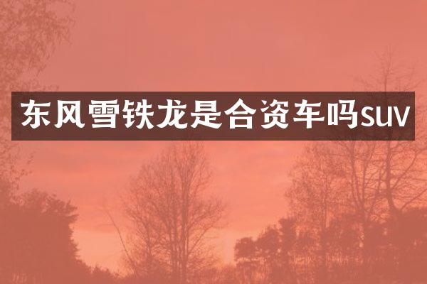 东风雪铁龙是合资车吗suv