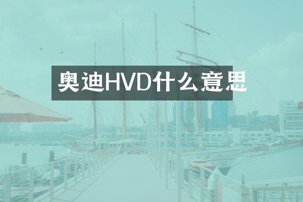 奥迪HVD什么意思