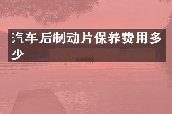 汽车后制动片保养费用多少