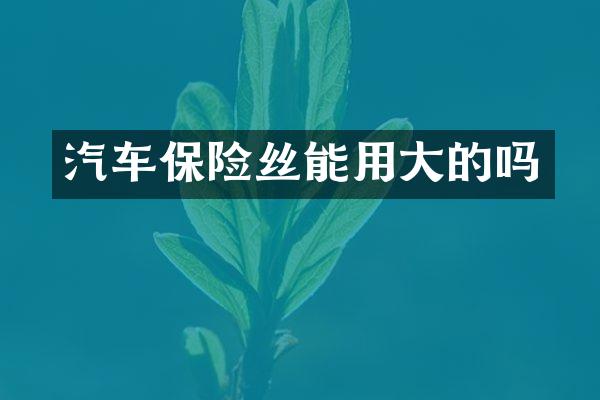 汽车保险丝能用大的吗