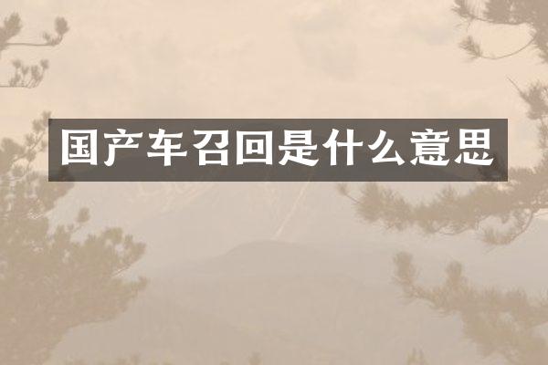 国产车召回是什么意思