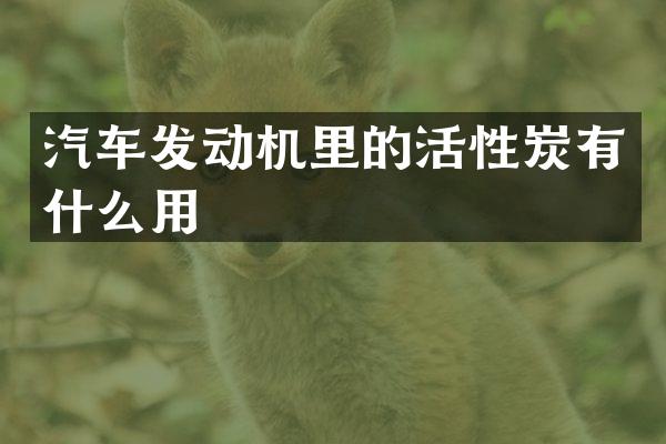 汽车发动机里的活性炭有什么用