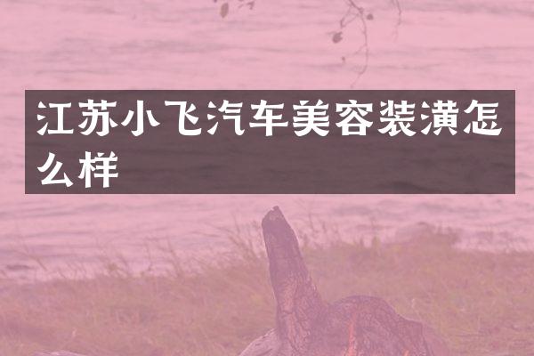 江苏小飞汽车美容装潢怎么样