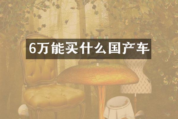 6万能买什么国产车