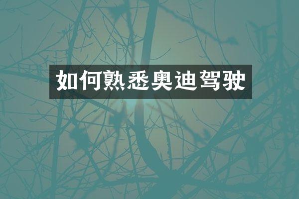 如何熟悉奥迪驾驶
