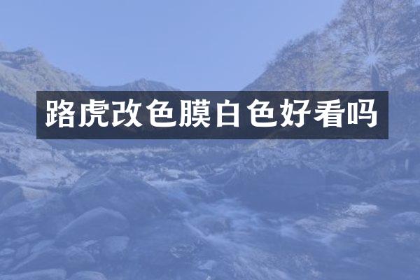 路虎改色膜白色好看吗